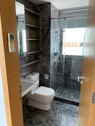 Suites @ Cairnhill (D9), Apartment #460648721